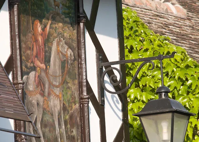 Hotel Hôtellerie Du Bas-bréau 4*